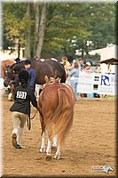 4H-Districts-11_1359.jpg