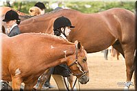 4H-Districts-11_1360.jpg