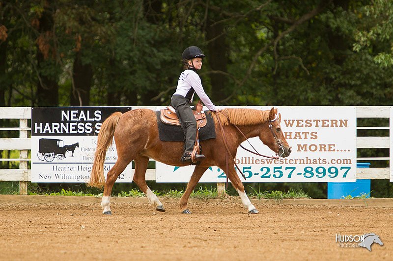 4H-Districts-11_0995.jpg