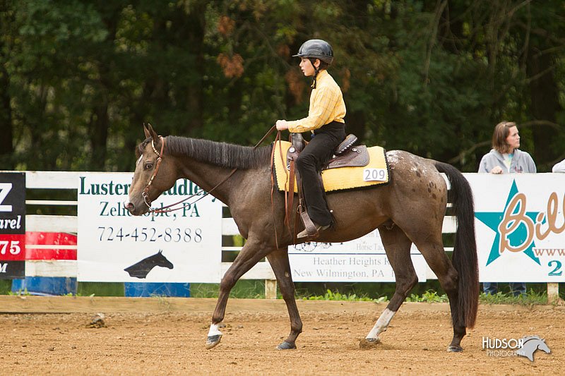 4H-Districts-11_1011.jpg