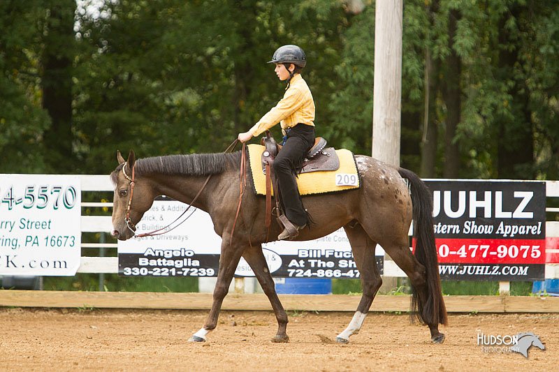 4H-Districts-11_1012.jpg