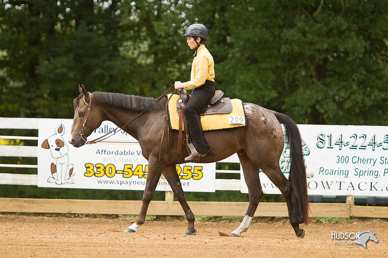 4H-Districts-11_1013.jpg