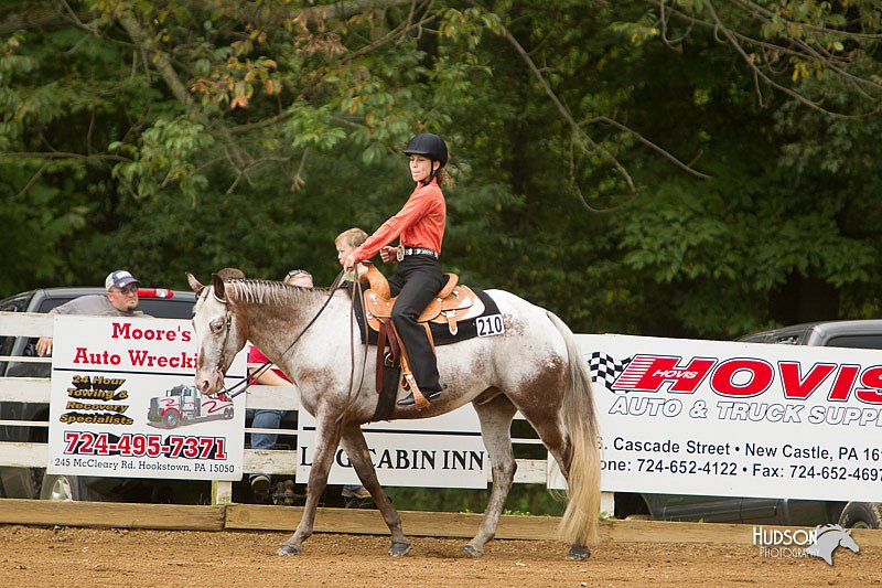 4H-Districts-11_1018.jpg