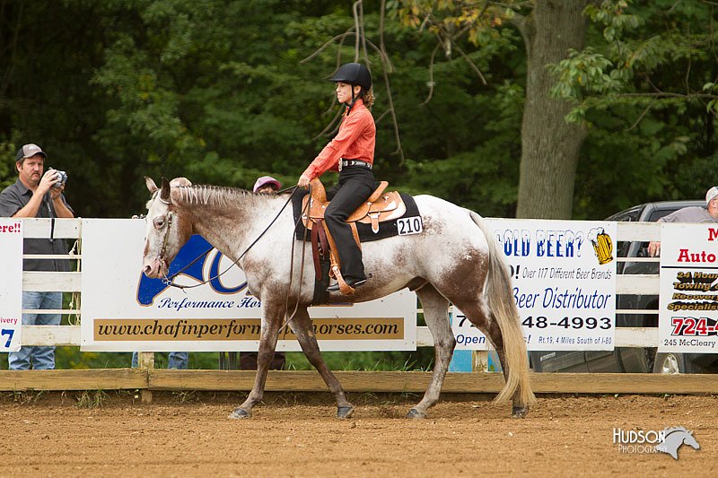 4H-Districts-11_1019.jpg