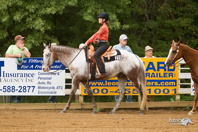 4H-Districts-11_1020.jpg