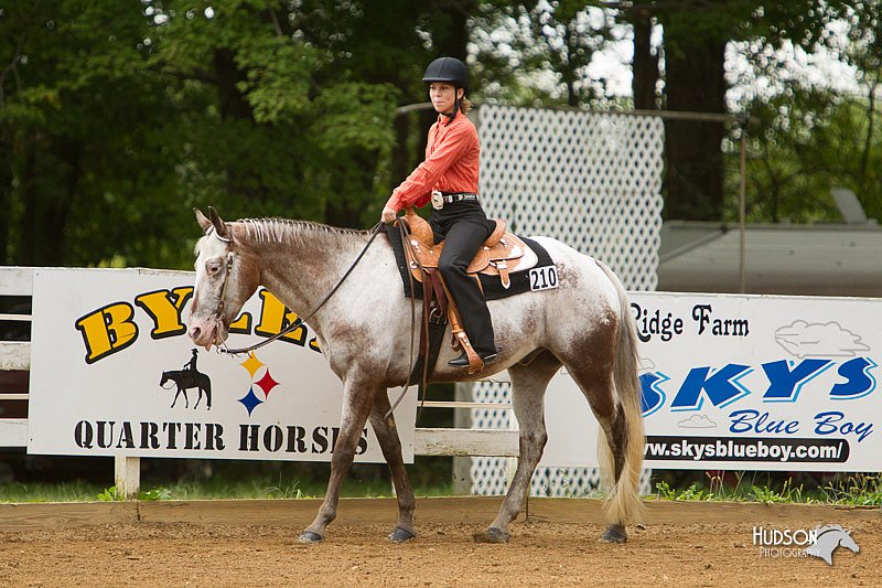 4H-Districts-11_1021.jpg