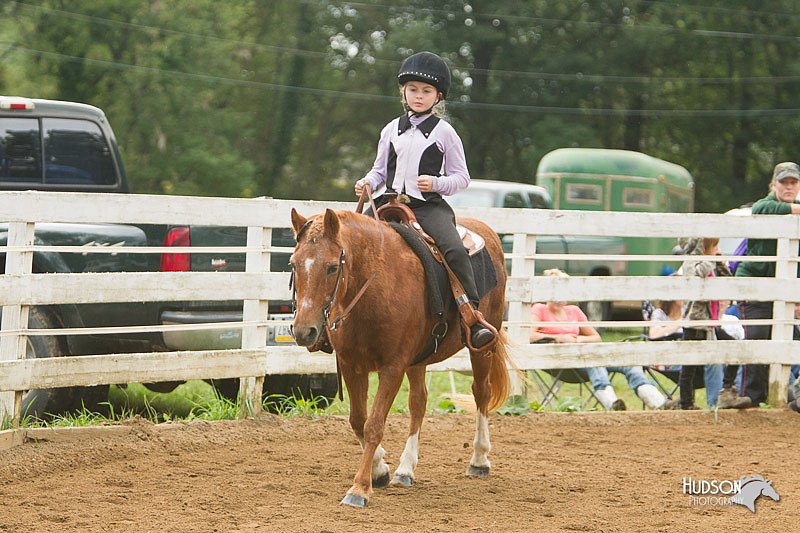 4H-Districts-11_1031.jpg