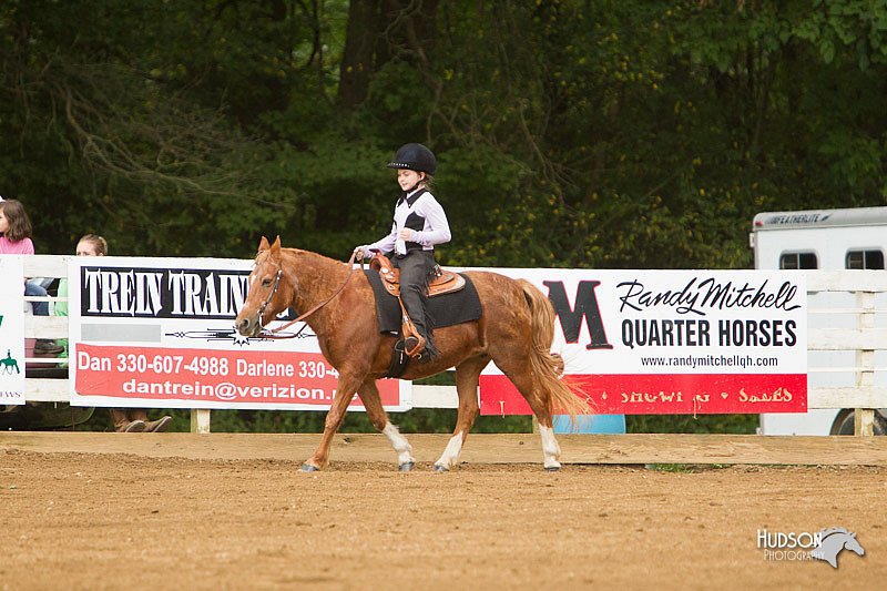 4H-Districts-11_1034.jpg