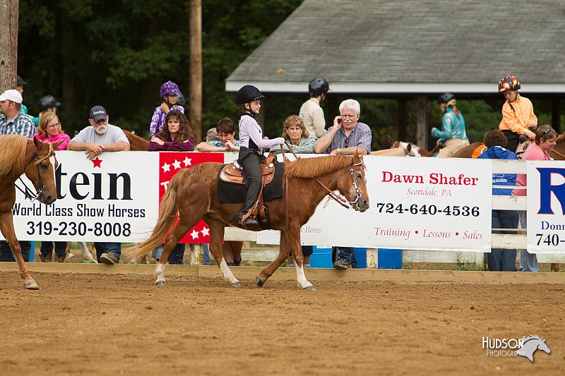 4H-Districts-11_1037.jpg