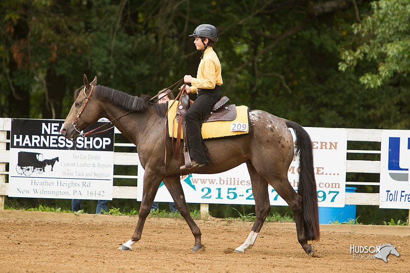 4H-Districts-11_1054.jpg
