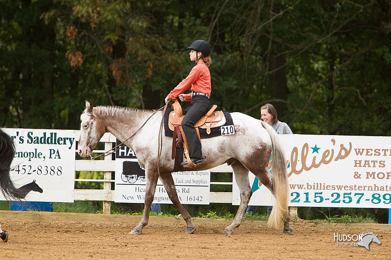 4H-Districts-11_1057.jpg