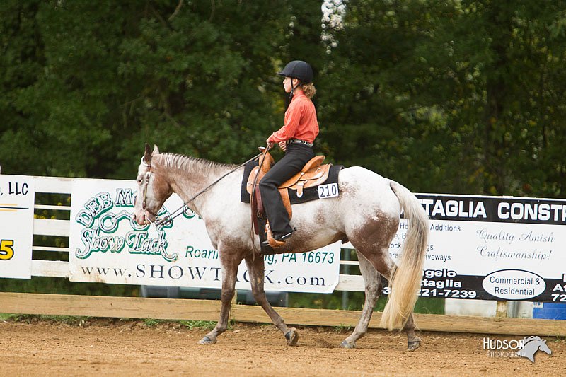 4H-Districts-11_1058.jpg
