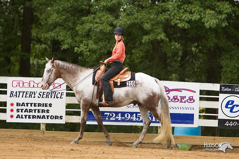 4H-Districts-11_1059.jpg