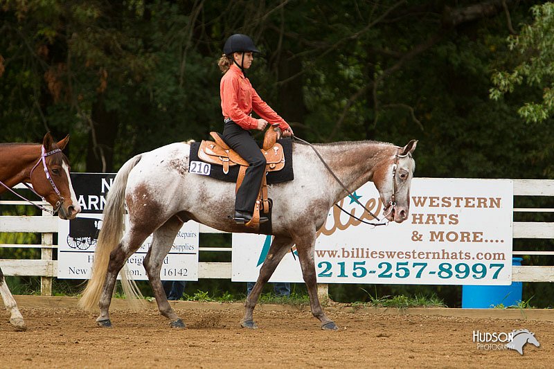 4H-Districts-11_1063.jpg