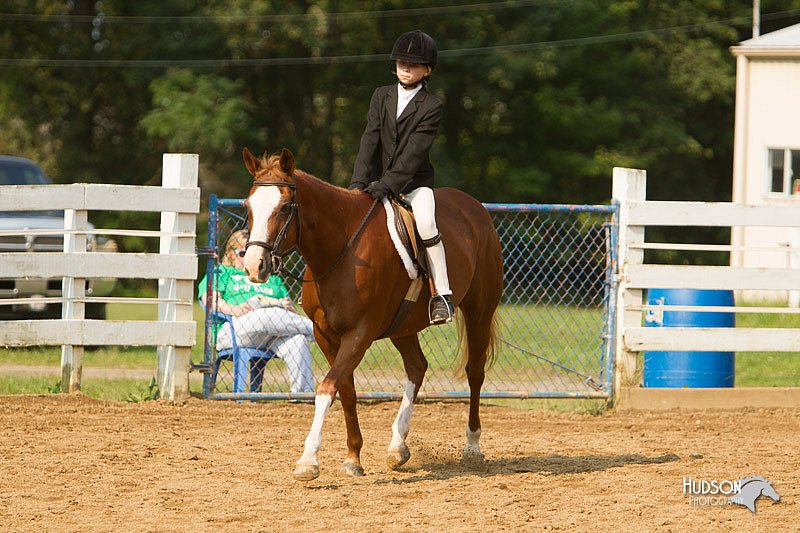 4H-Districts-11_1707.jpg