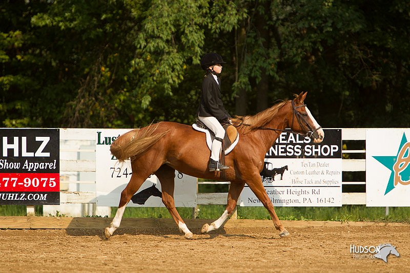4H-Districts-11_1717.jpg