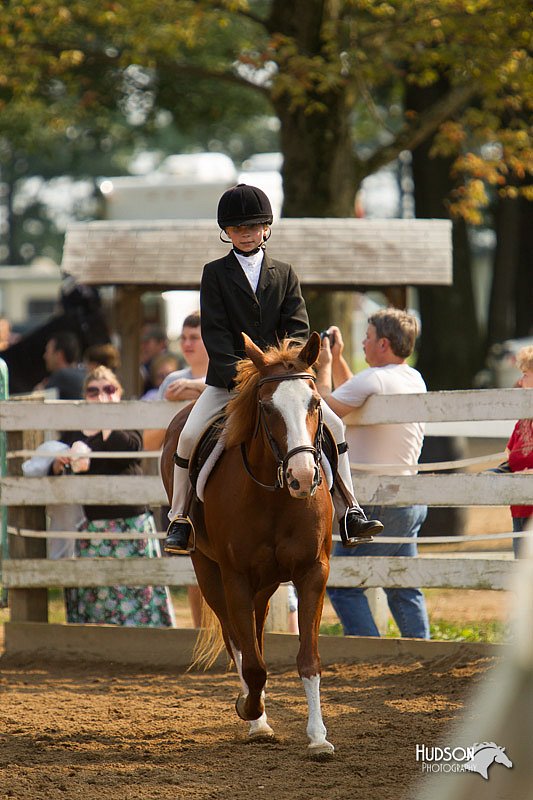 4H-Districts-11_1718.jpg