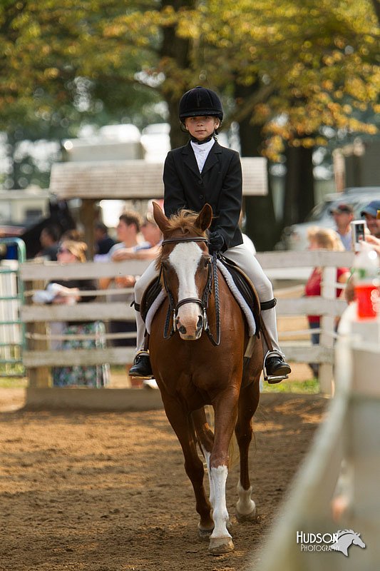 4H-Districts-11_1719.jpg