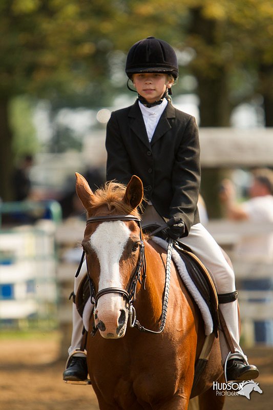 4H-Districts-11_1720.jpg