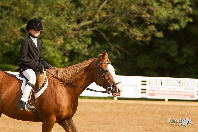 4H-Districts-11_1722.jpg