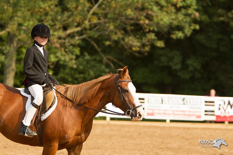 4H-Districts-11_1723.jpg