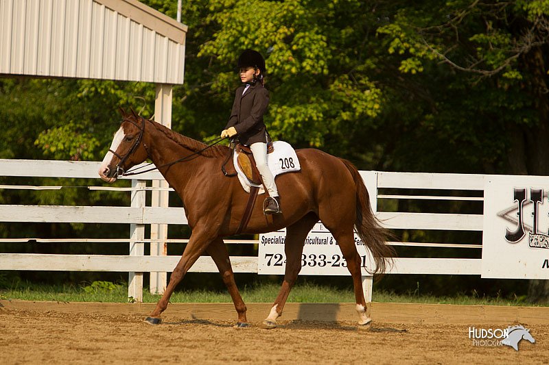 4H-Districts-11_1727.jpg
