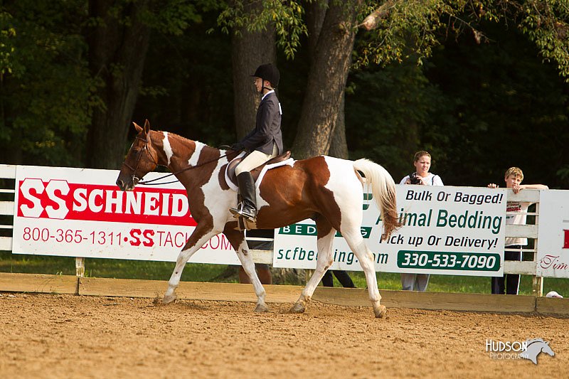 4H-Districts-11_1729.jpg