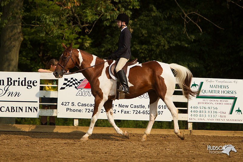 4H-Districts-11_1732.jpg