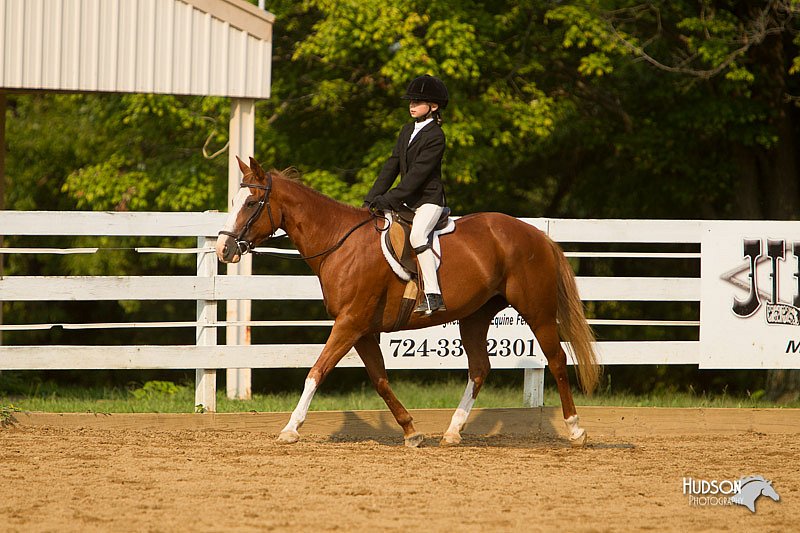 4H-Districts-11_1739.jpg