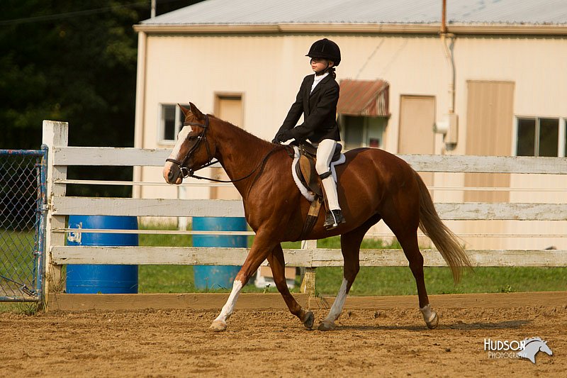 4H-Districts-11_1741.jpg