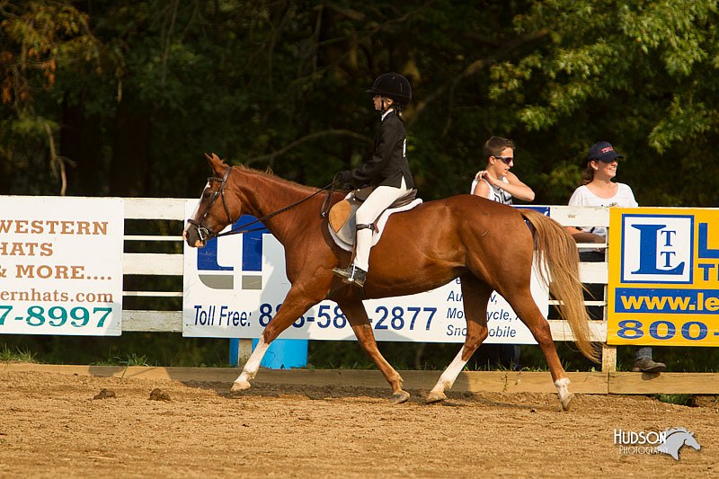 4H-Districts-11_1743.jpg