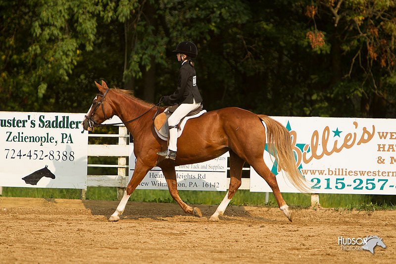 4H-Districts-11_1744.jpg