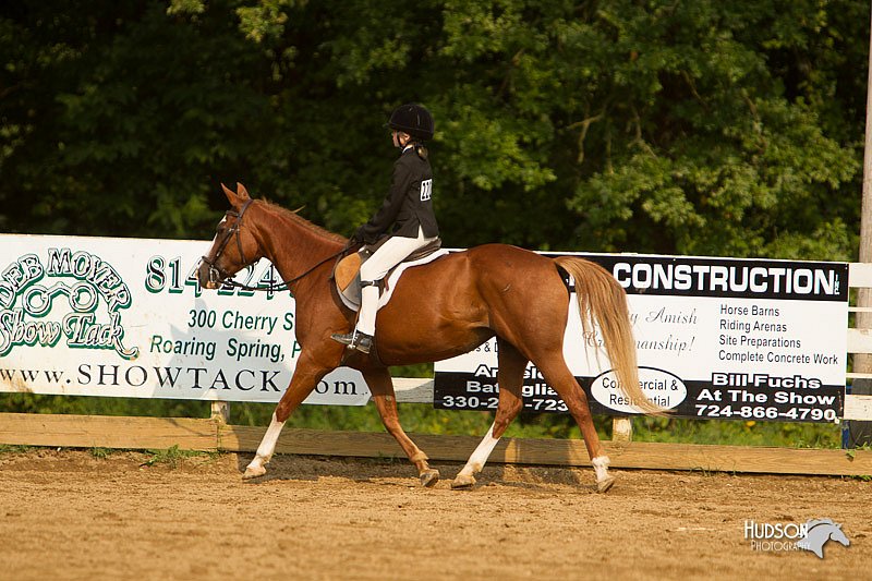 4H-Districts-11_1745.jpg