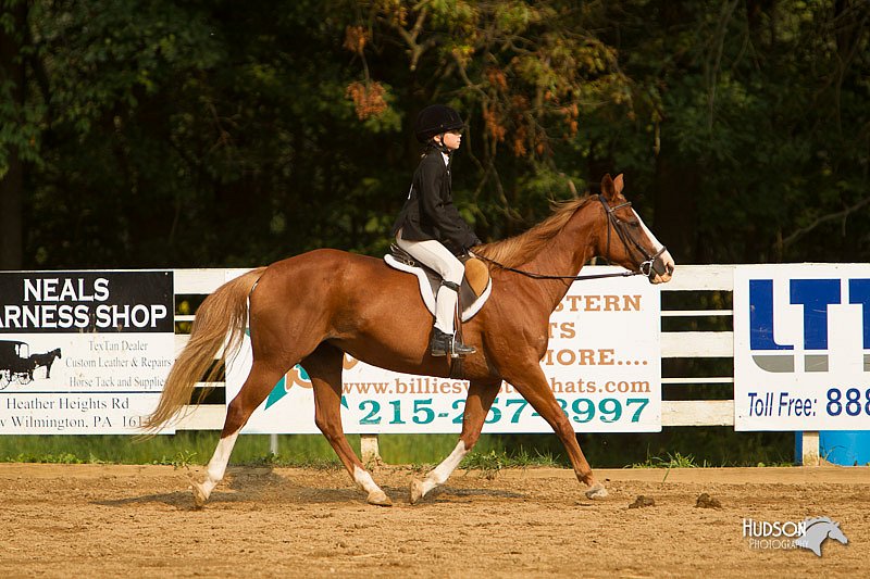 4H-Districts-11_1747.jpg