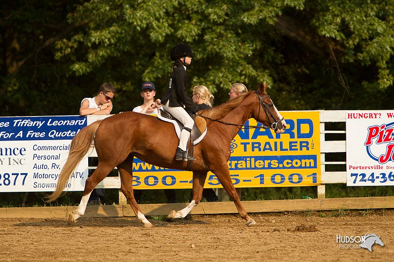 4H-Districts-11_1748.jpg