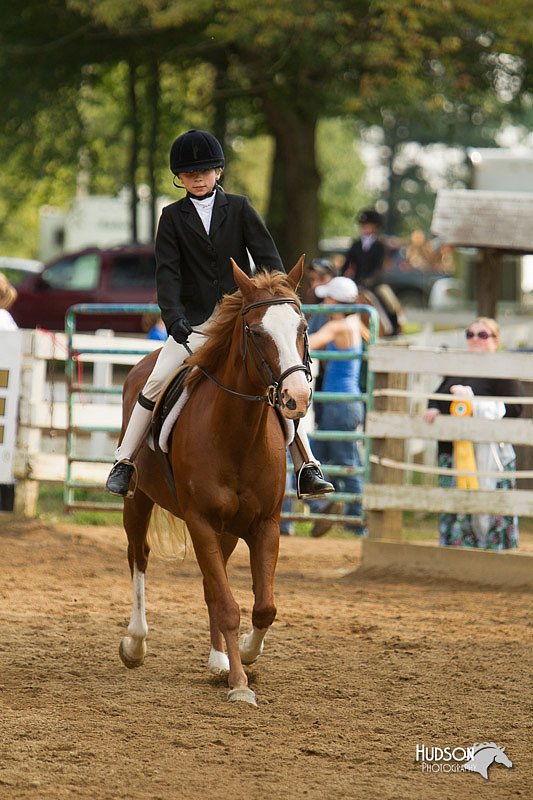 4H-Districts-11_1749.jpg