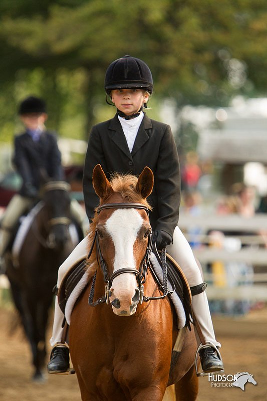 4H-Districts-11_1750.jpg