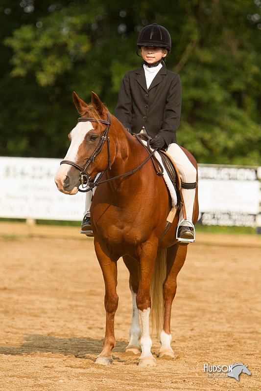 4H-Districts-11_1753.jpg