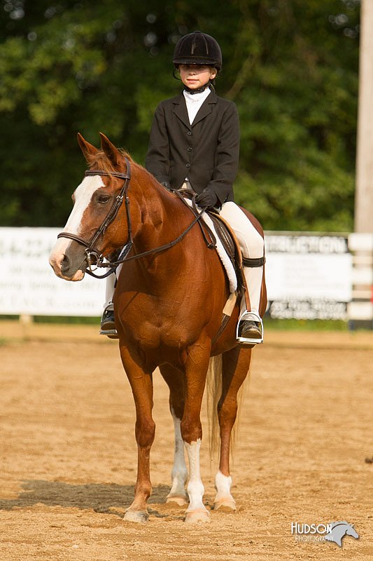 4H-Districts-11_1754.jpg