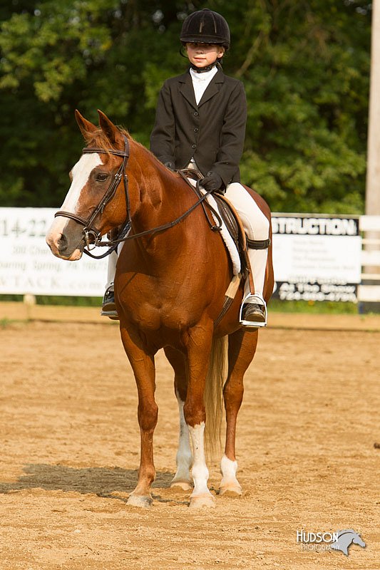 4H-Districts-11_1755.jpg