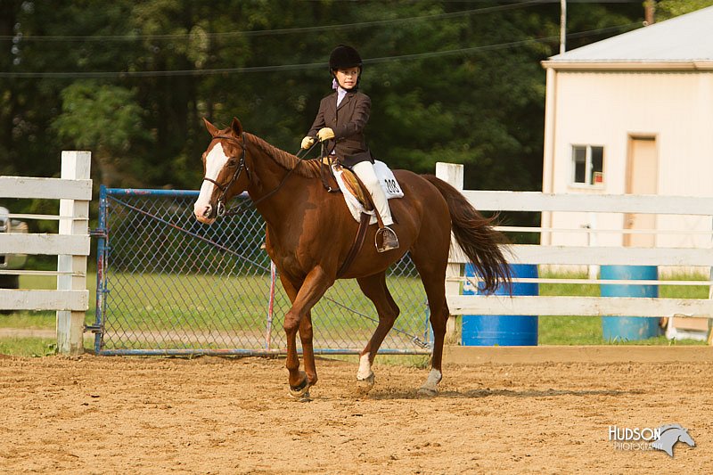 4H-Districts-11_1756.jpg
