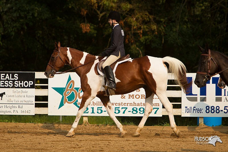 4H-Districts-11_1763.jpg
