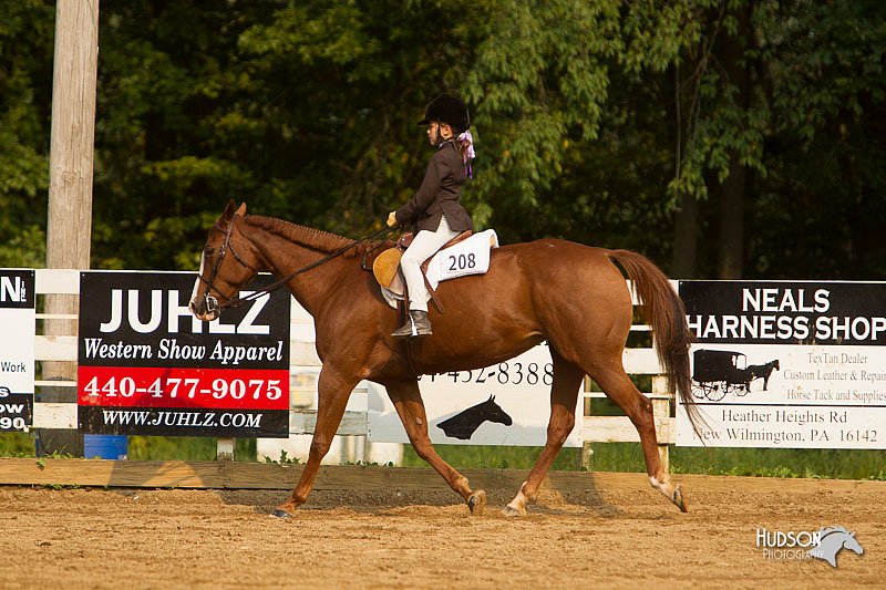 4H-Districts-11_1765.jpg