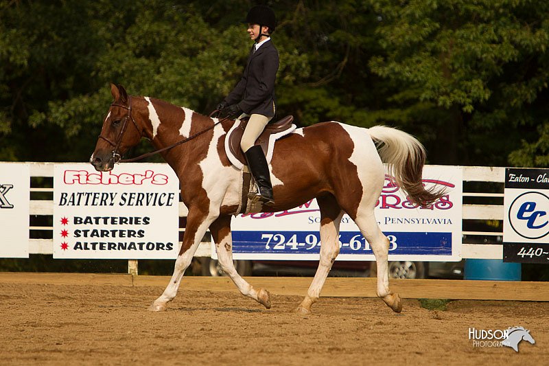 4H-Districts-11_1766.jpg