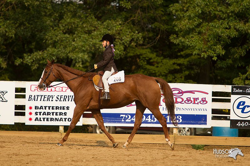 4H-Districts-11_1767.jpg