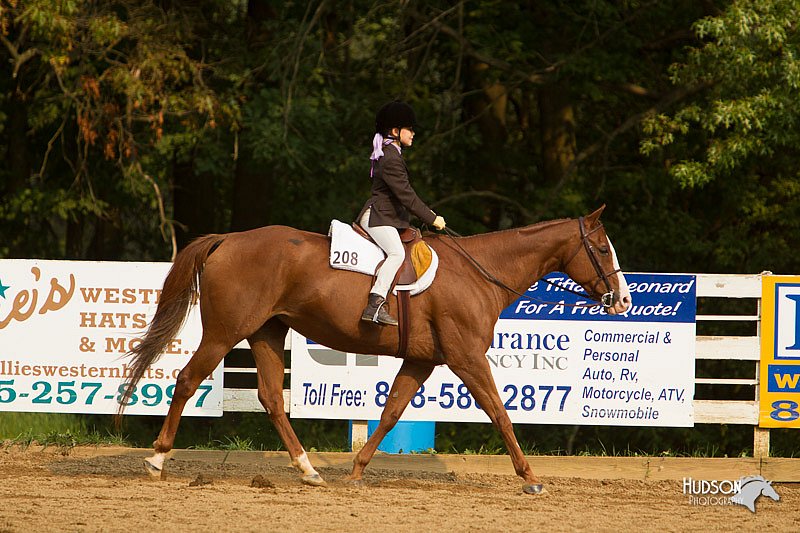 4H-Districts-11_1768.jpg
