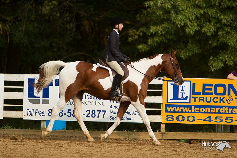 4H-Districts-11_1771.jpg
