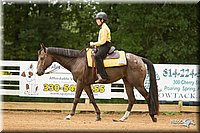 4H-Districts-11_1013.jpg