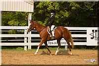4H-Districts-11_1739.jpg
