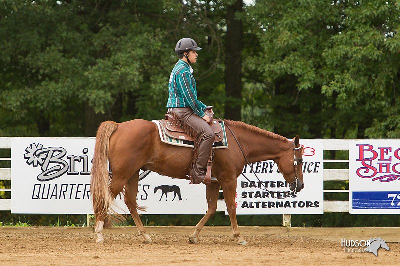 4H-Districts-11_1085.jpg